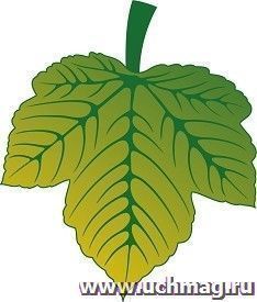 Мини-плакат вырубной "Лист винограда зеленый": 110х128 мм — интернет-магазин УчМаг